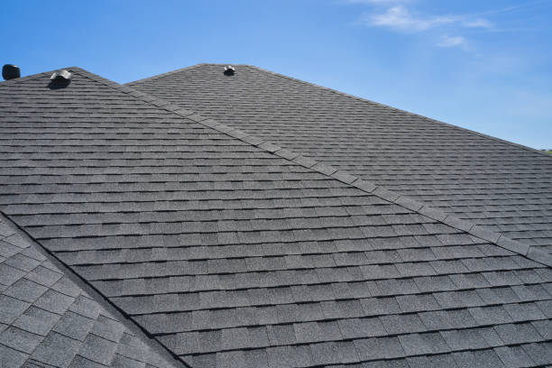 Best Hot Roofs  in Springfield, SD